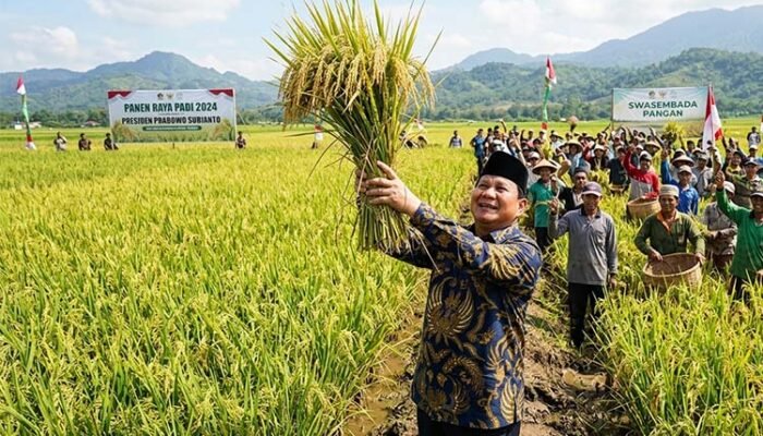 Produksi Beras Indonesia Turun pada 2026, Ancaman Krisis Pangan Masih Mengintai