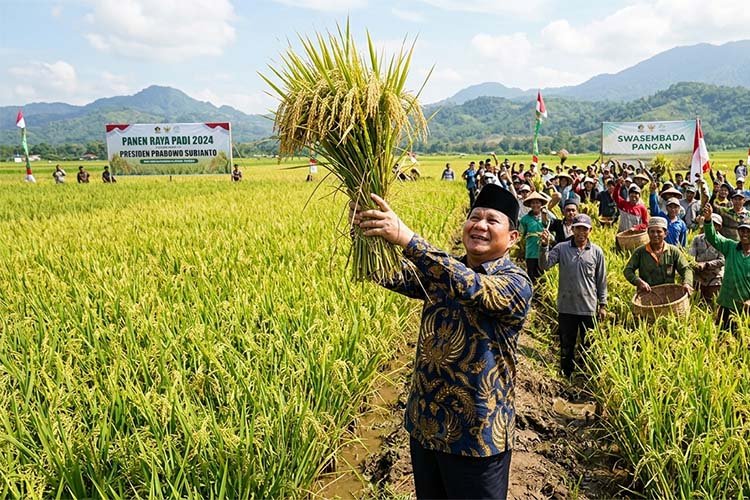 produksi beras 2026